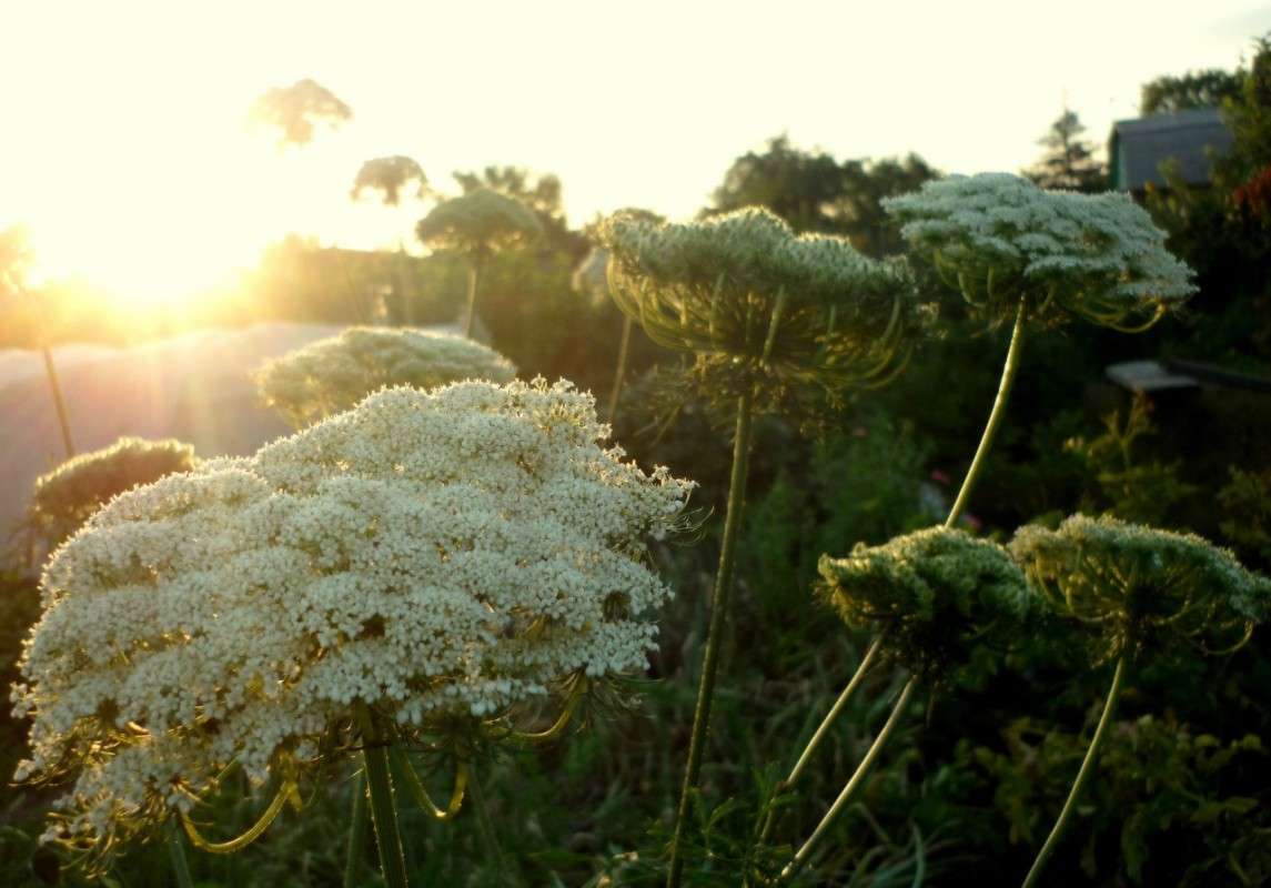 ... ����� ������ ����������� �� PhotoGeek.ru #������ ��� �������