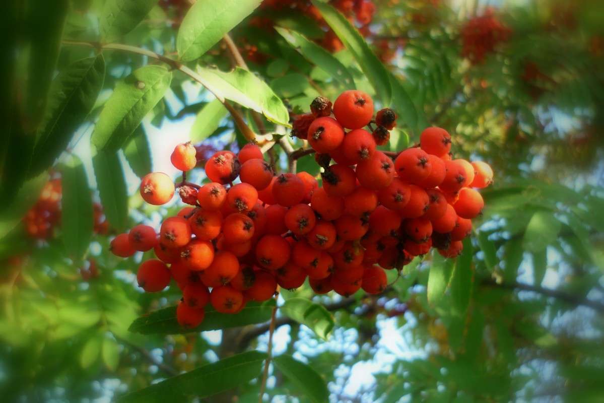 ... ����� ������ ����������� �� PhotoGeek.ru #������ ��� �������