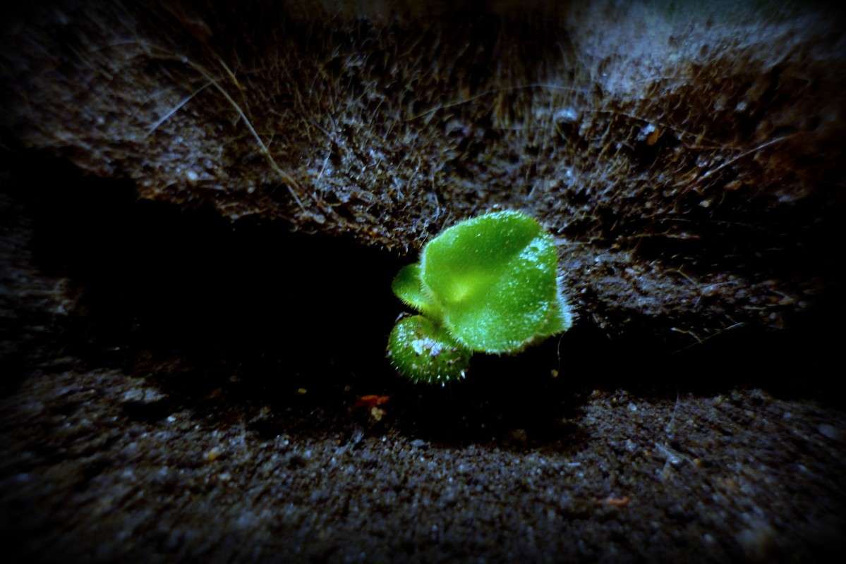 ... ����� ������ ����������� �� PhotoGeek.ru #�����