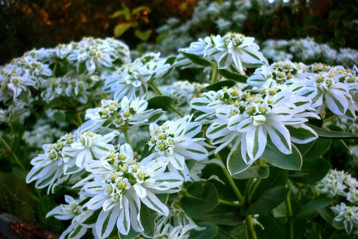 ... ����� ������ ����������� �� PhotoGeek.ru #������ ��� �������