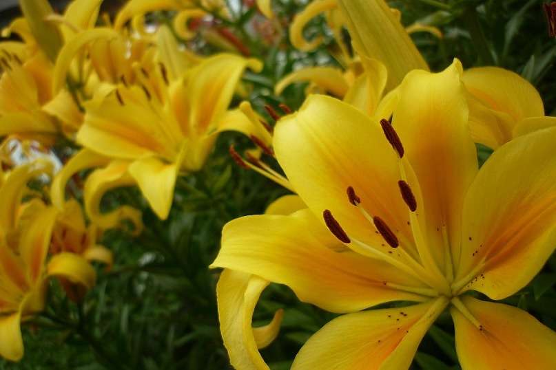 ... ����� ������ ����������� �� PhotoGeek.ru #������ ��� �������