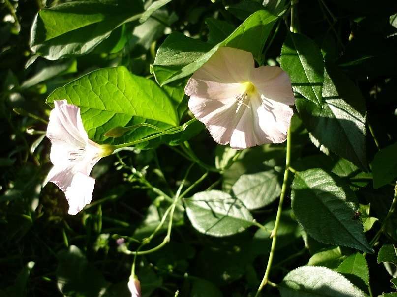 ... ����� ������ ����������� �� PhotoGeek.ru #������ ��� �������