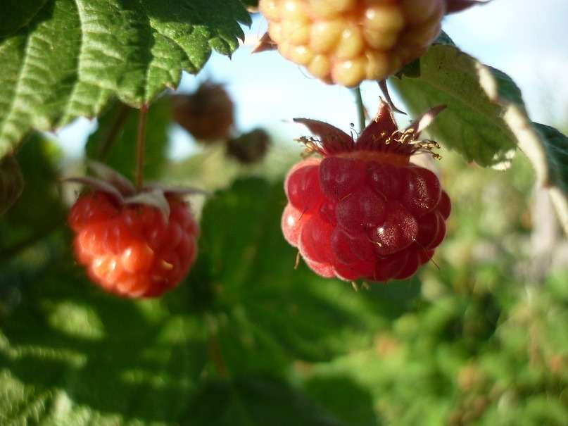 ... ����� ������ ����������� �� PhotoGeek.ru #������ ��� �������