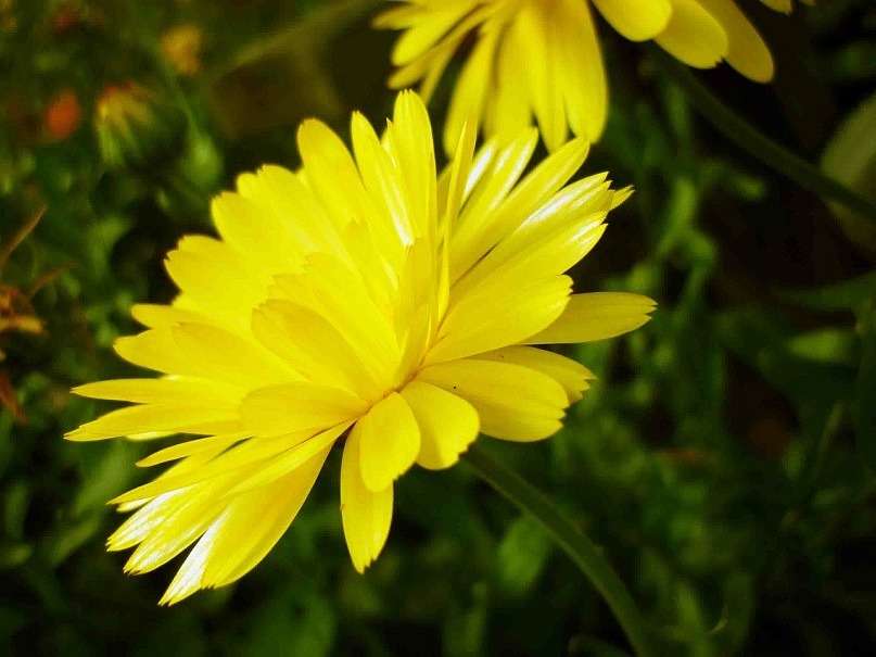 ... ����� ������ ����������� �� PhotoGeek.ru #������ ��� �������