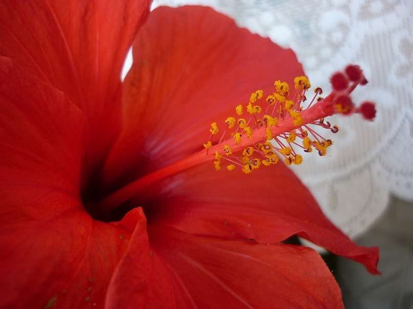 ... ����� ������ ����������� �� PhotoGeek.ru #�����