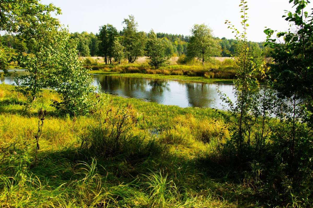 �� �������� ����� ������  �� PhotoGeek.ru #������ ��� �������