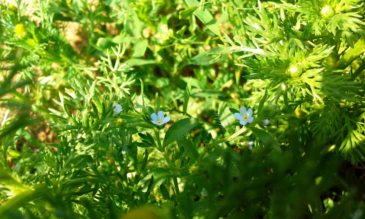 ... ����� ����� ���������� �� PhotoGeek.ru #�����