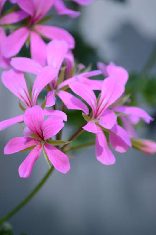 ������ � ������ ���� ����� Sergey  �� PhotoGeek.ru #������ ��� �������