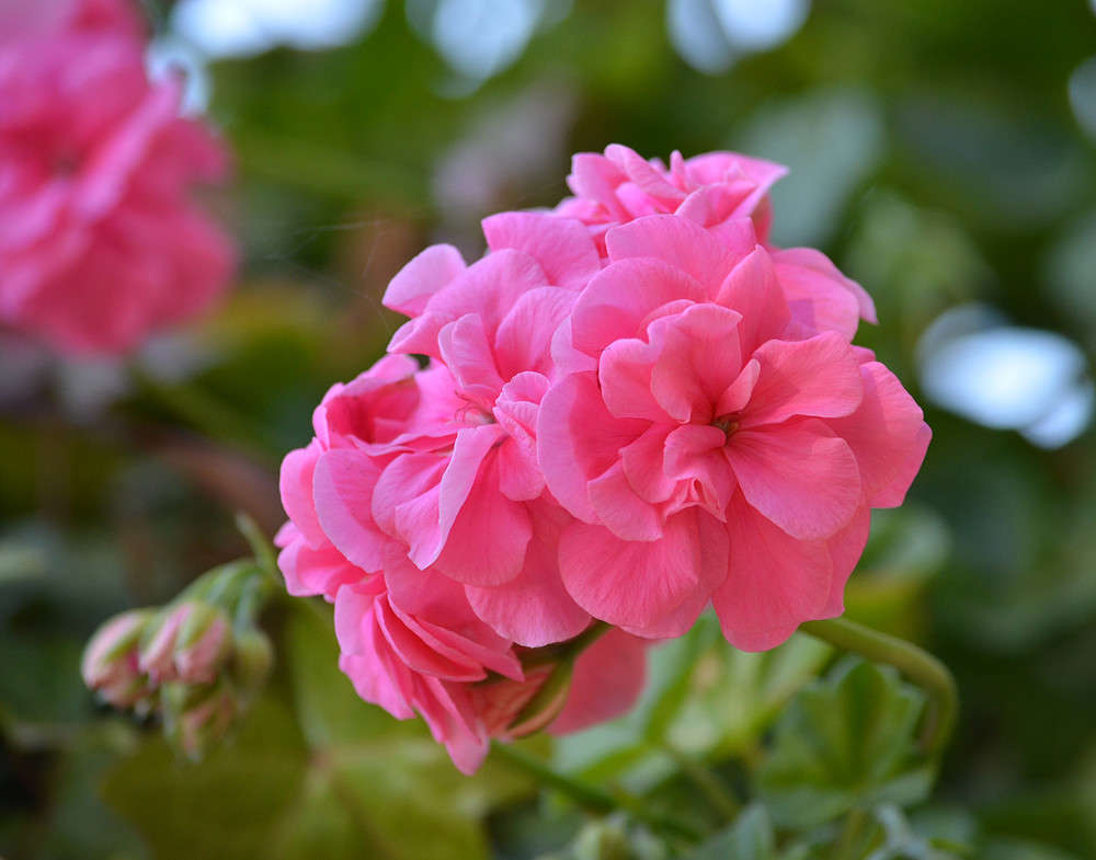 ... ����� Sergey  �� PhotoGeek.ru #������ ��� �������