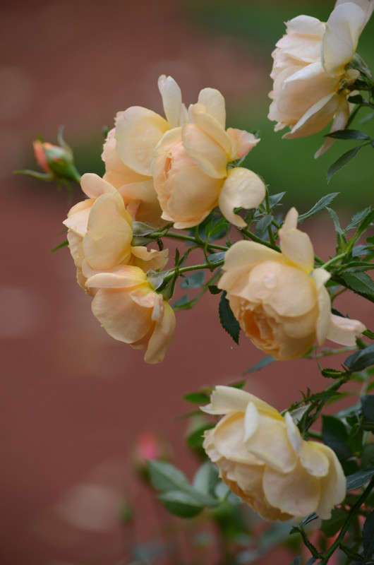 ���� ����� Sergey  �� PhotoGeek.ru #������ ��� �������