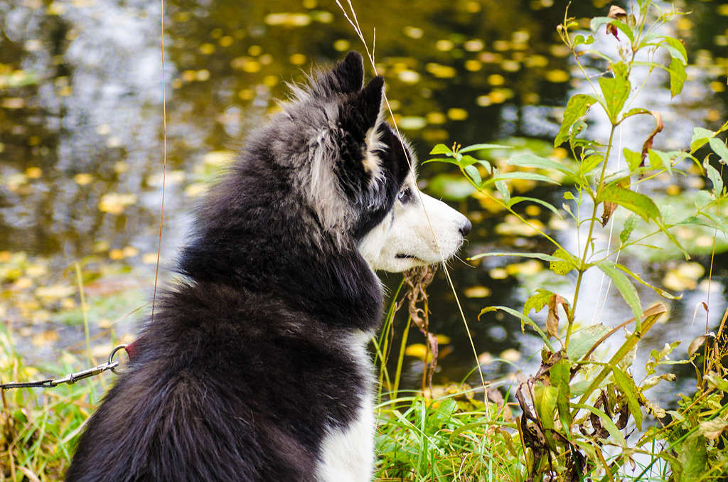 ����� ���� ����� Sergey  �� PhotoGeek.ru #�������� ���