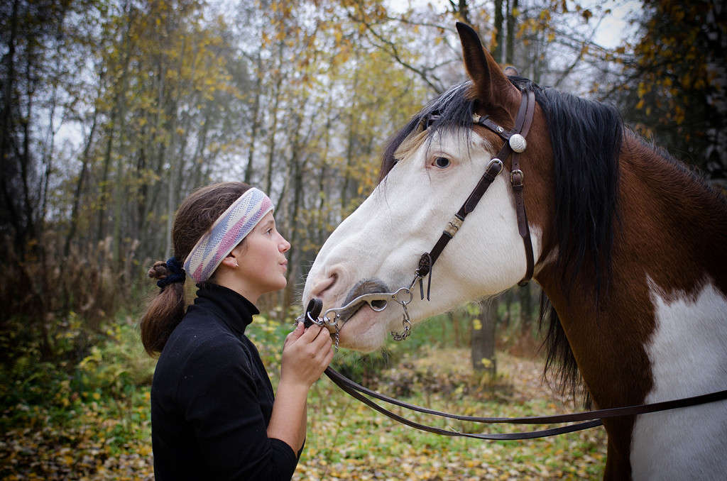 �������� ������� ��� 