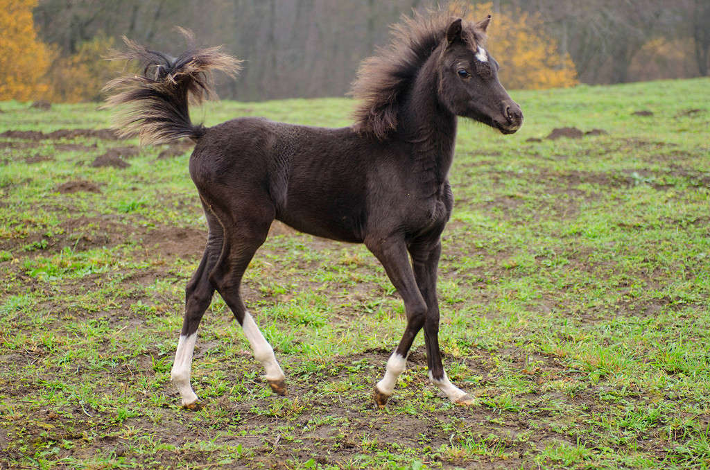 ... ����� Sergey  �� PhotoGeek.ru #�������� ���