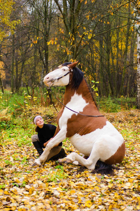 �������� � ������, ��� 