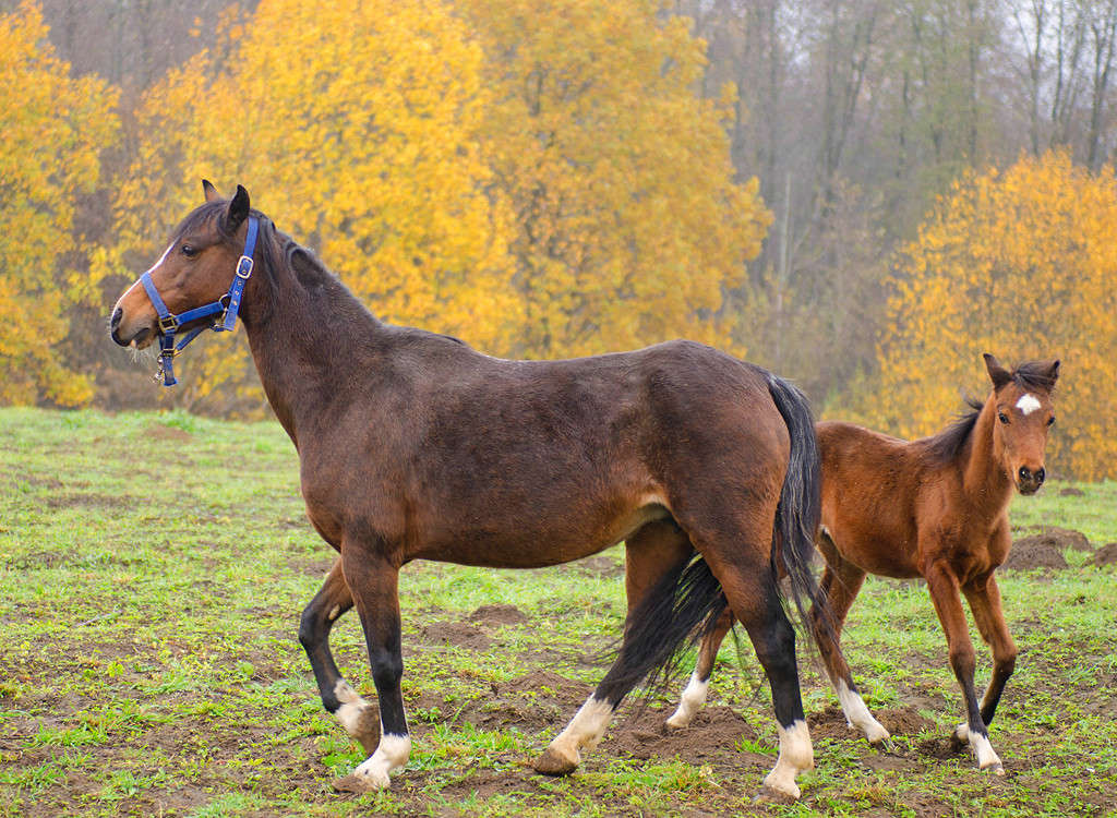 ... ����� Sergey  �� PhotoGeek.ru #�������� ��� #��������