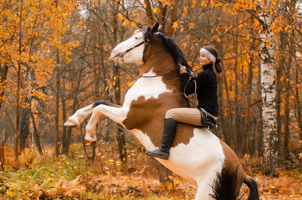 �������� � ������, ��� 