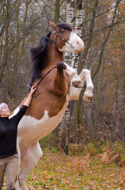 ... ����� Sergey  �� PhotoGeek.ru #�������� ��� #�������� ����������