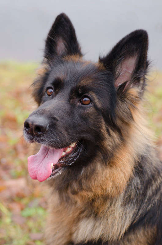 ������ ����� Sergey  �� PhotoGeek.ru #�������� ���