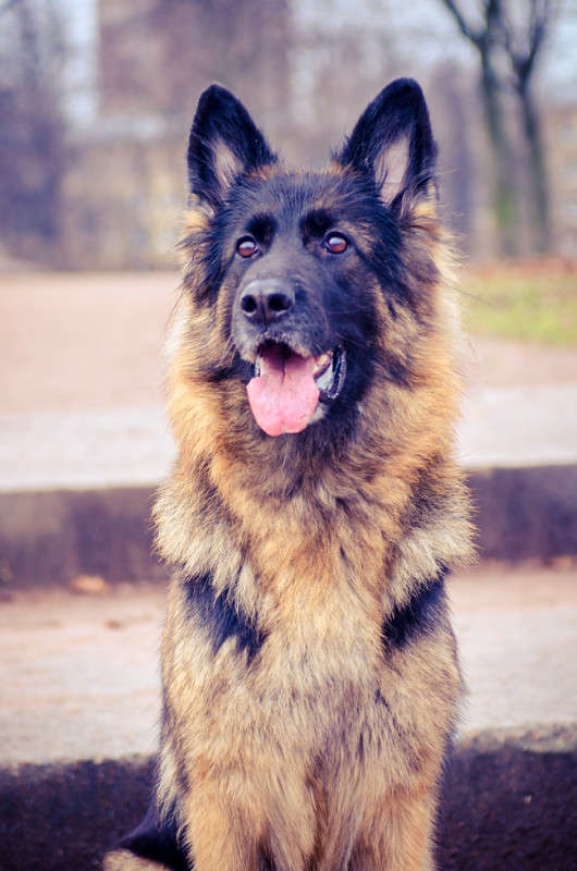 ������ ����� Sergey  �� PhotoGeek.ru #�������� ���