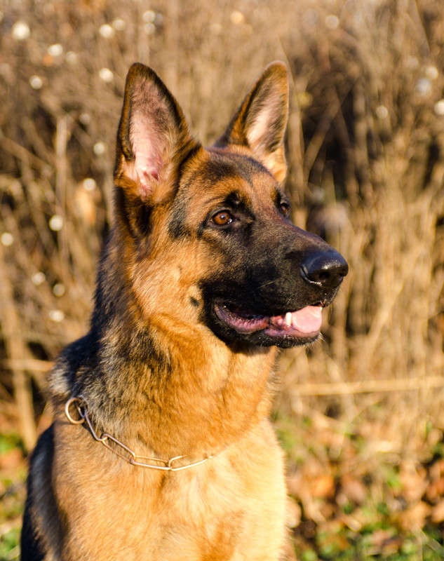 �������� ����� Sergey  �� PhotoGeek.ru #�������� ��� #�������