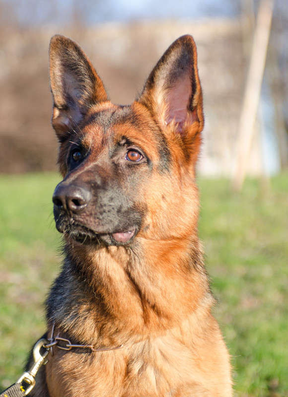 ... ����� Sergey  �� PhotoGeek.ru #�������� ��� #�������