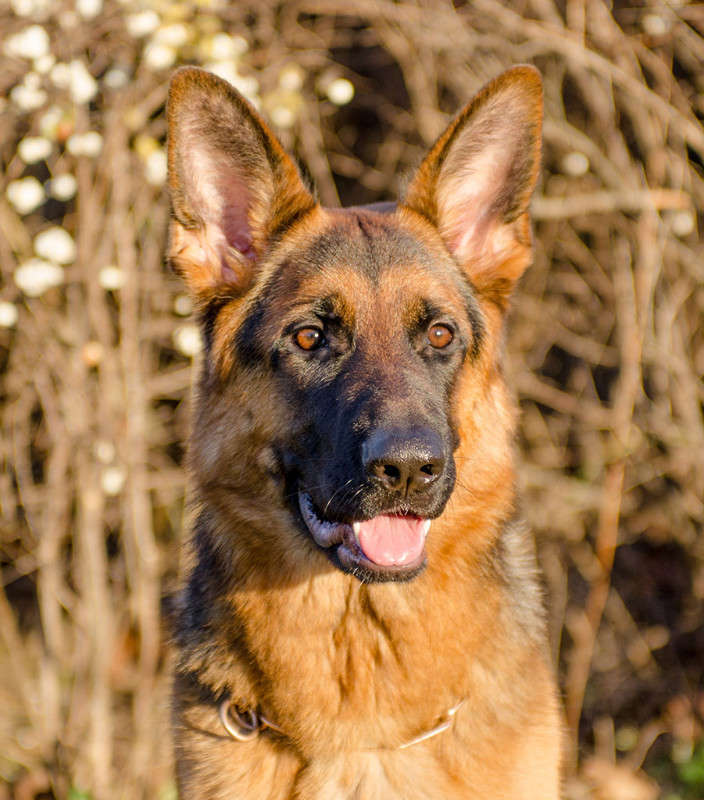 ... ����� Sergey  �� PhotoGeek.ru #�������� ���