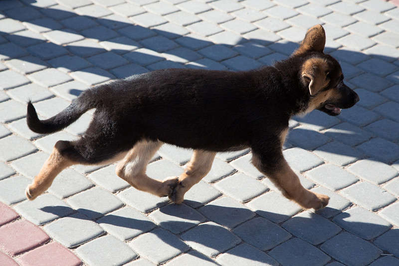 ������ �������� ����� Sergey  �� PhotoGeek.ru #�������� ���