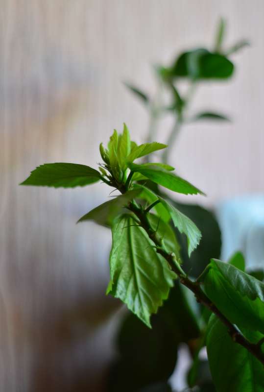 ... ����� ����  �� PhotoGeek.ru #����� ��������������