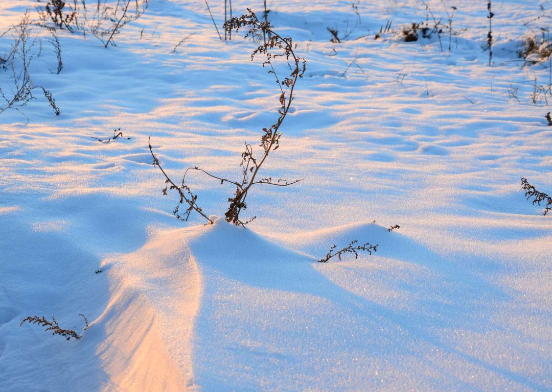 � ����� ������ ����� ����  �� PhotoGeek.ru #������ ��� �������