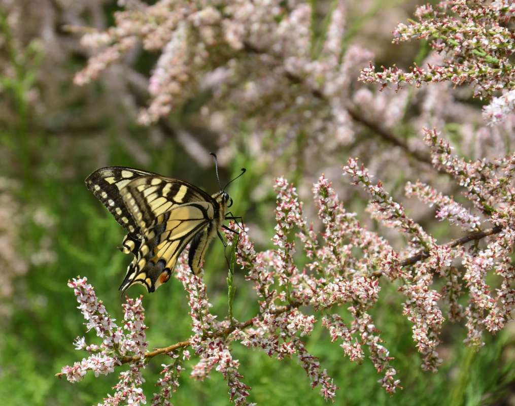 ... ����� ����  �� PhotoGeek.ru #�������� ���