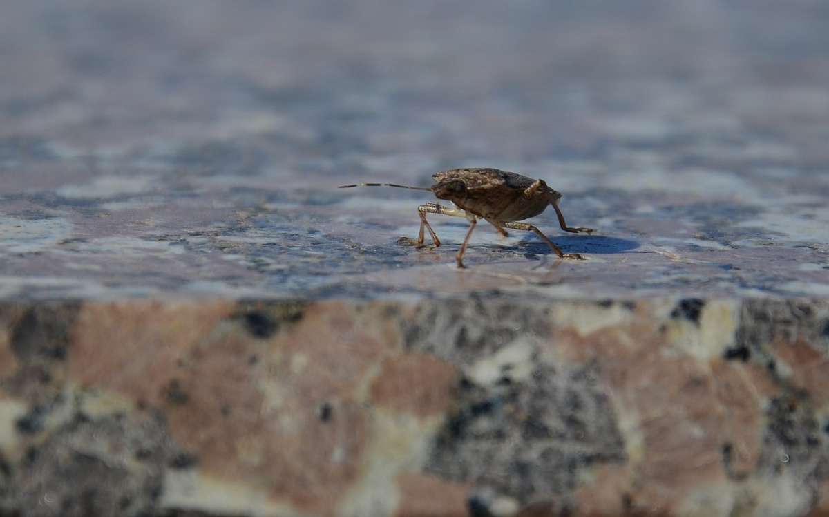 ... ����� ����  �� PhotoGeek.ru #�������� ���