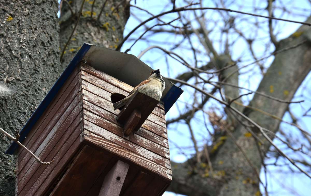 ������ ����� ����� ����  �� PhotoGeek.ru #�������� ���