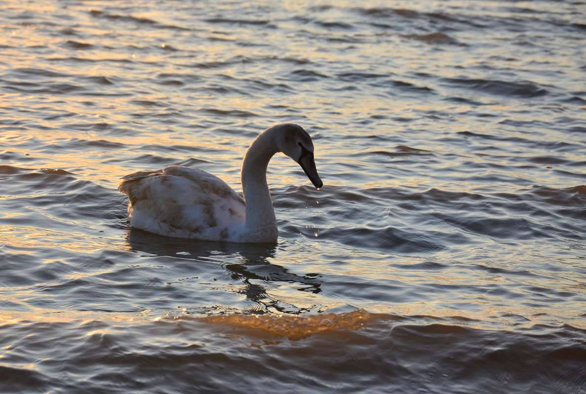 ... ����� ����  �� PhotoGeek.ru #�������� ���