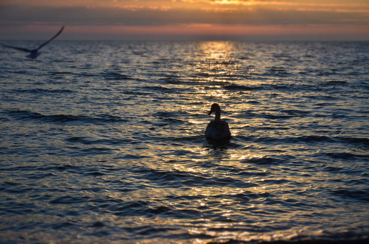 ... ����� ����  �� PhotoGeek.ru #�������� ��� #������ ��� �������