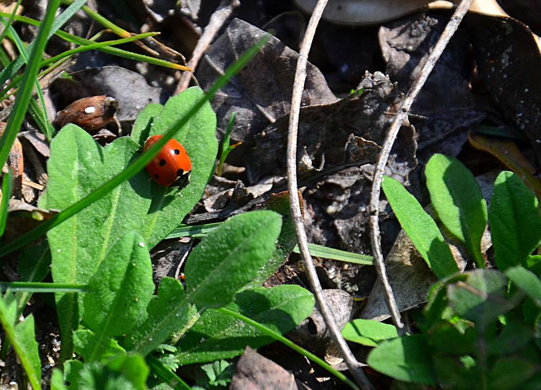 �������� ����� ����� ����  �� PhotoGeek.ru #�������� ���