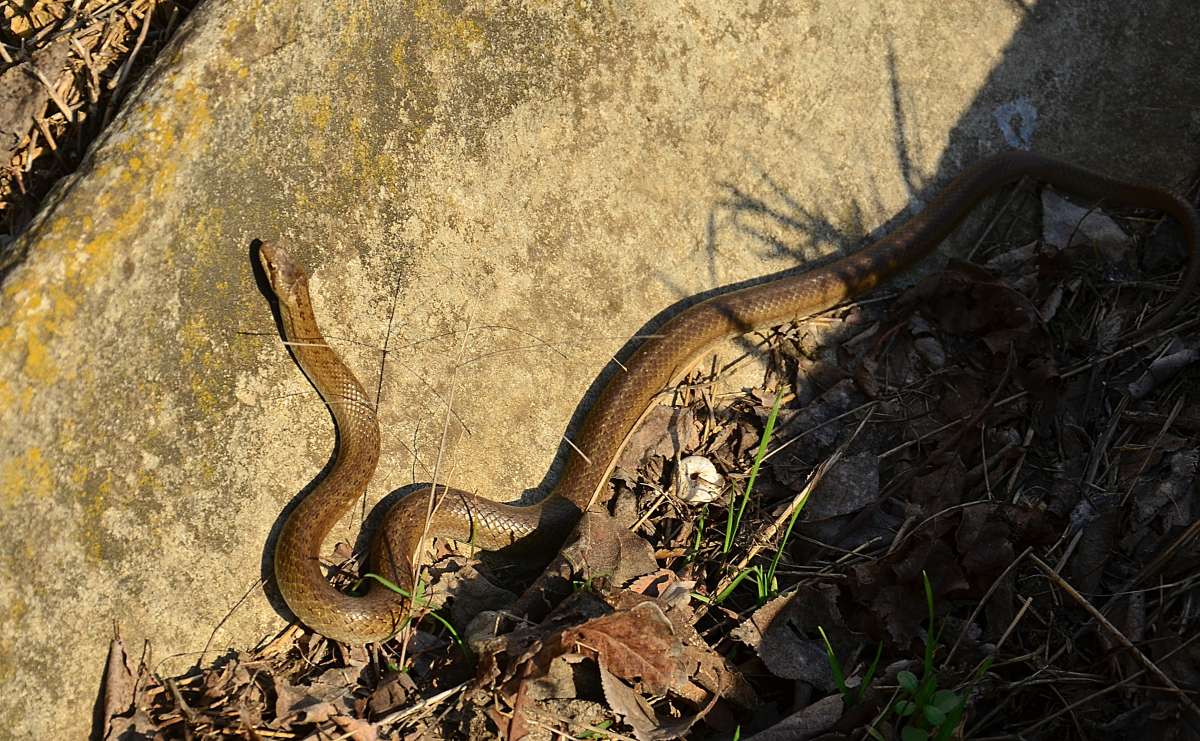 ������ ���� ����� ����  �� PhotoGeek.ru #�������� ��� #������ ��� �������