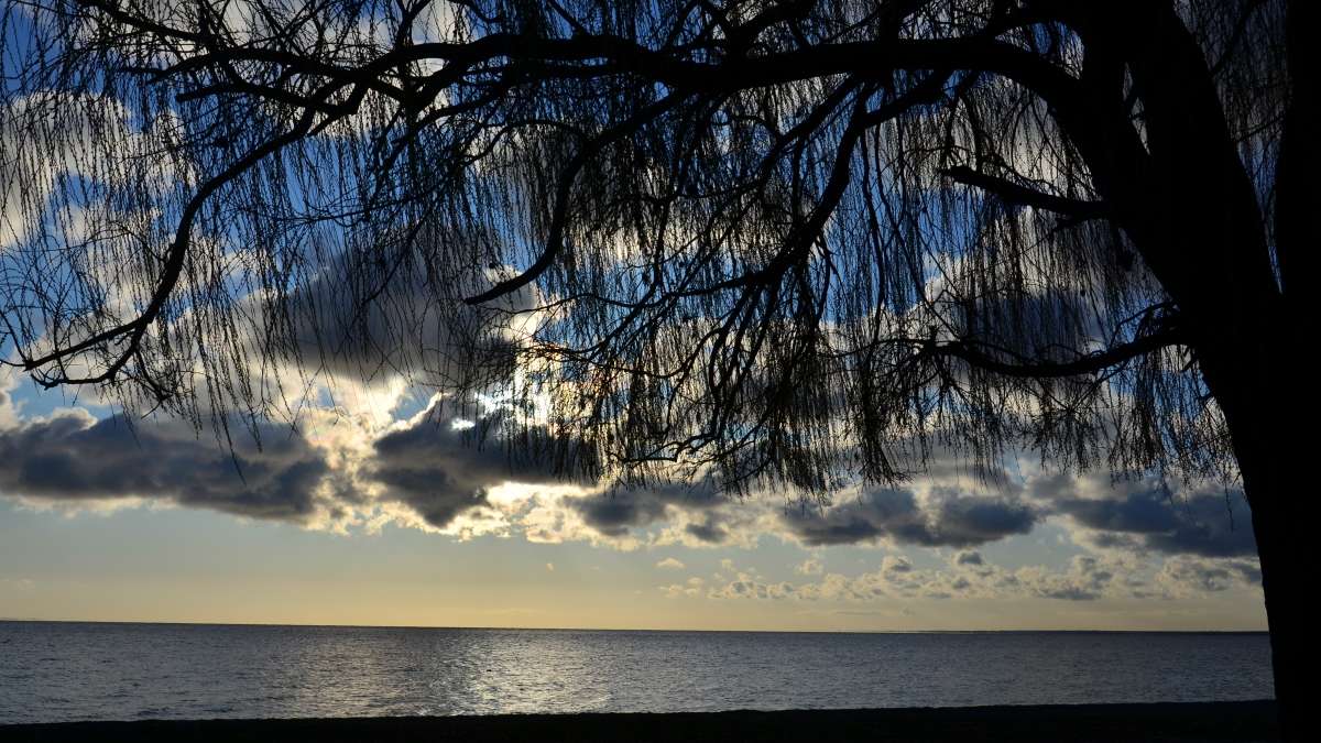 ������� ������� ����� ����  �� PhotoGeek.ru #������ ��� �������