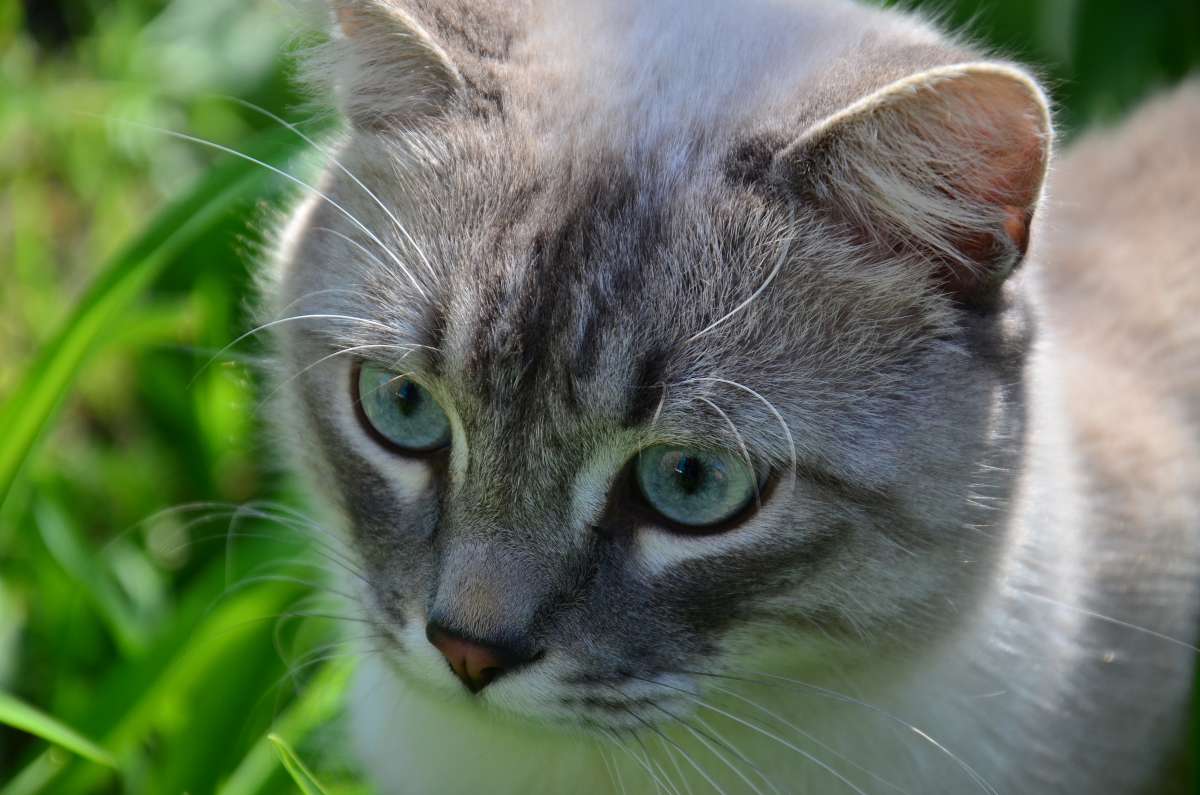 ... ����� ����  �� PhotoGeek.ru #�������� ���