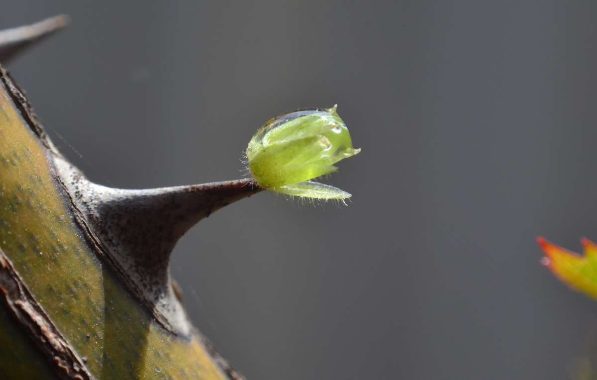 ��������� ����� ����� ����  �� PhotoGeek.ru #����� #���������