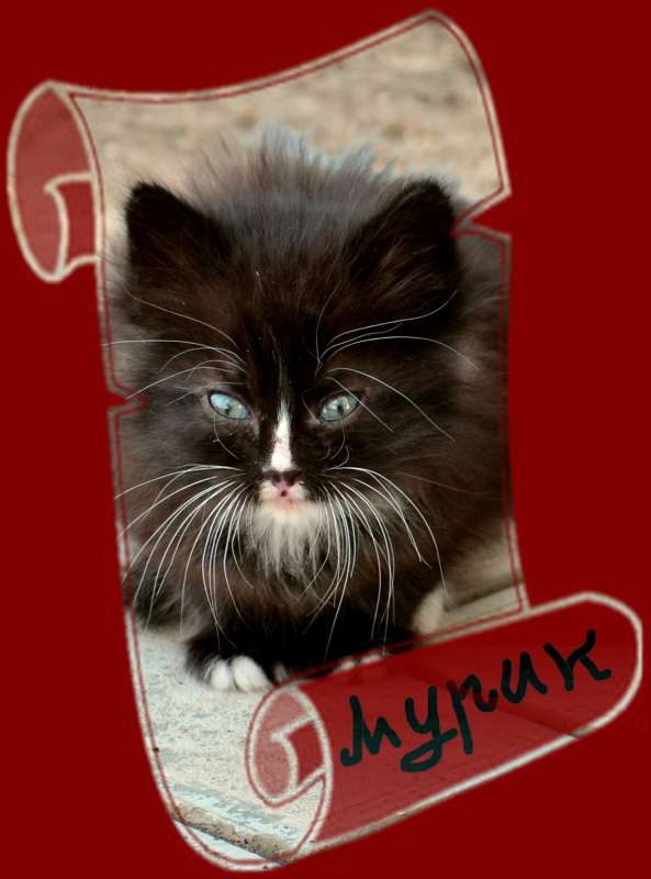 ���������� ����� ����  �� PhotoGeek.ru #�������� ���