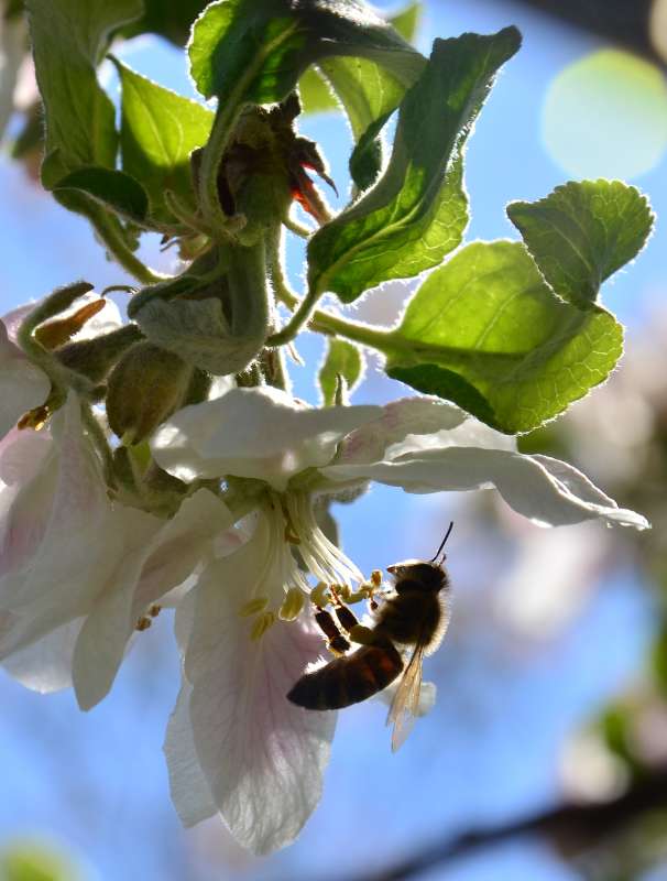 ����� ����� ����  �� PhotoGeek.ru #����� #�������� ��� #������ ��� ������� #����� �������������� #��������� #���������