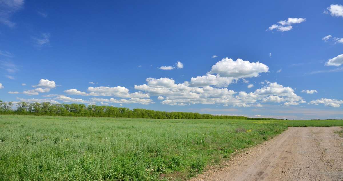 ... ����� ����  �� PhotoGeek.ru #������ ��� �������