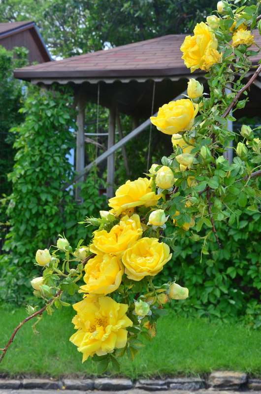 ... ����� ����  �� PhotoGeek.ru #������ ��� �������