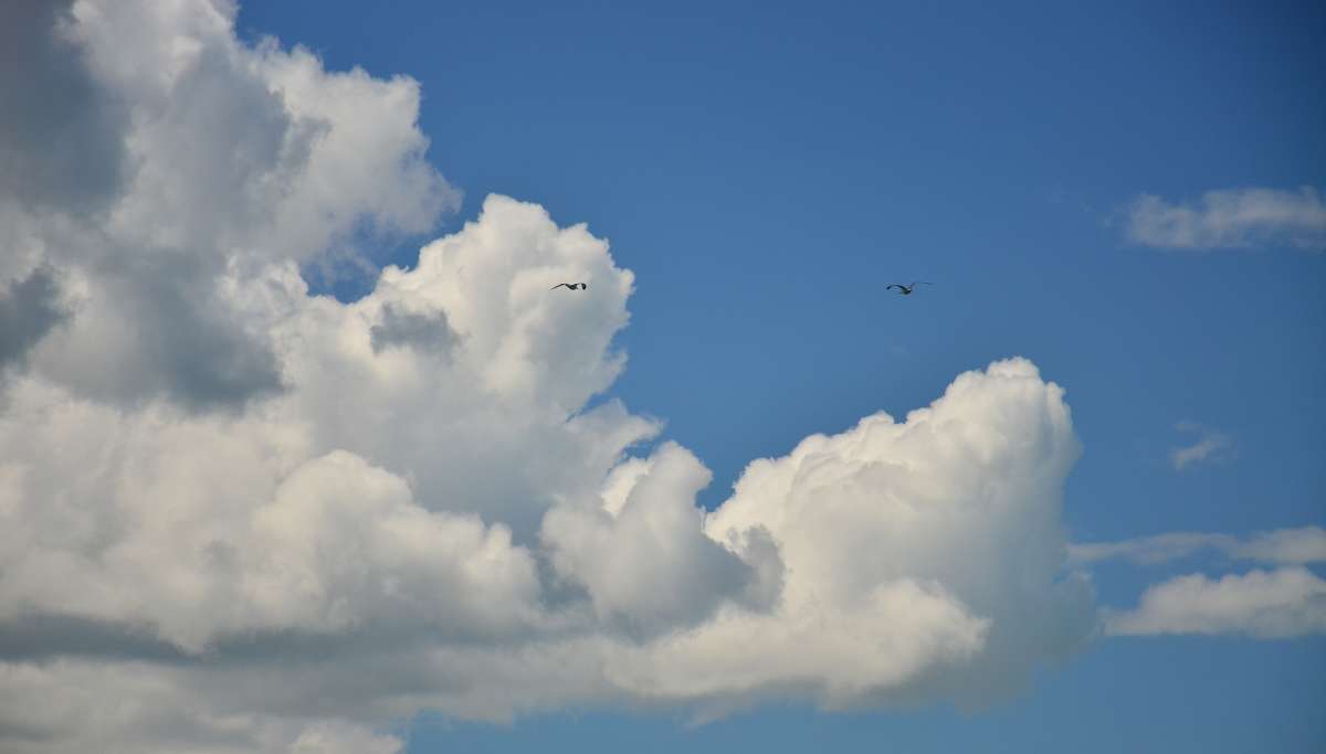 ... ����� ����  �� PhotoGeek.ru #������ ��� �������