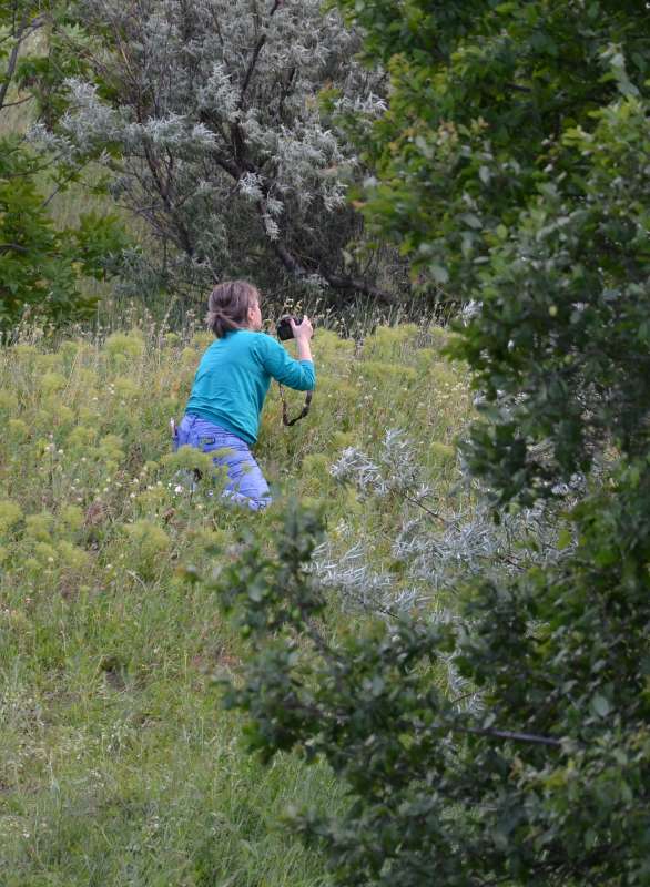 � ������ ����� ����  �� PhotoGeek.ru #�������� ����������