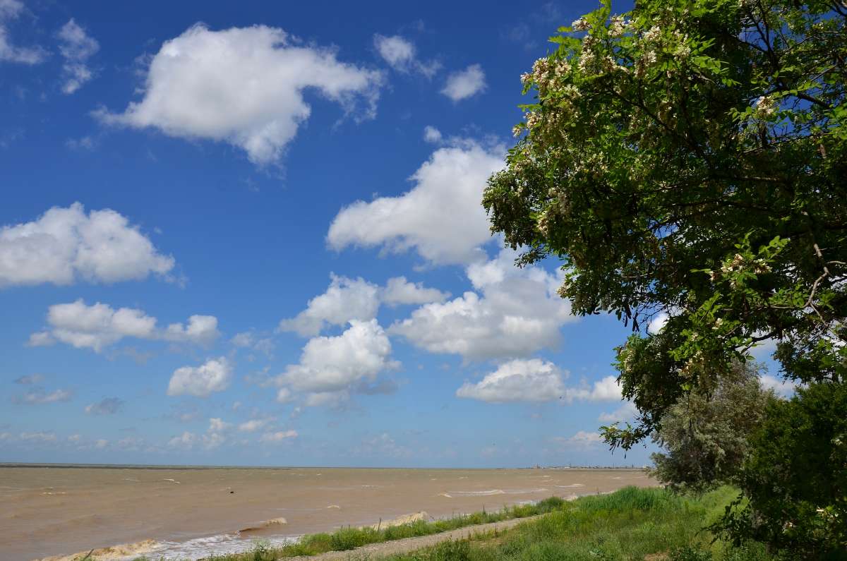 ... ����� ����  �� PhotoGeek.ru #������ ��� �������