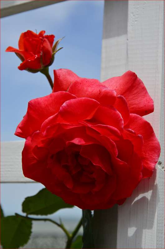 ... ����� ����  �� PhotoGeek.ru #������ ��� ������� #����� ��������������