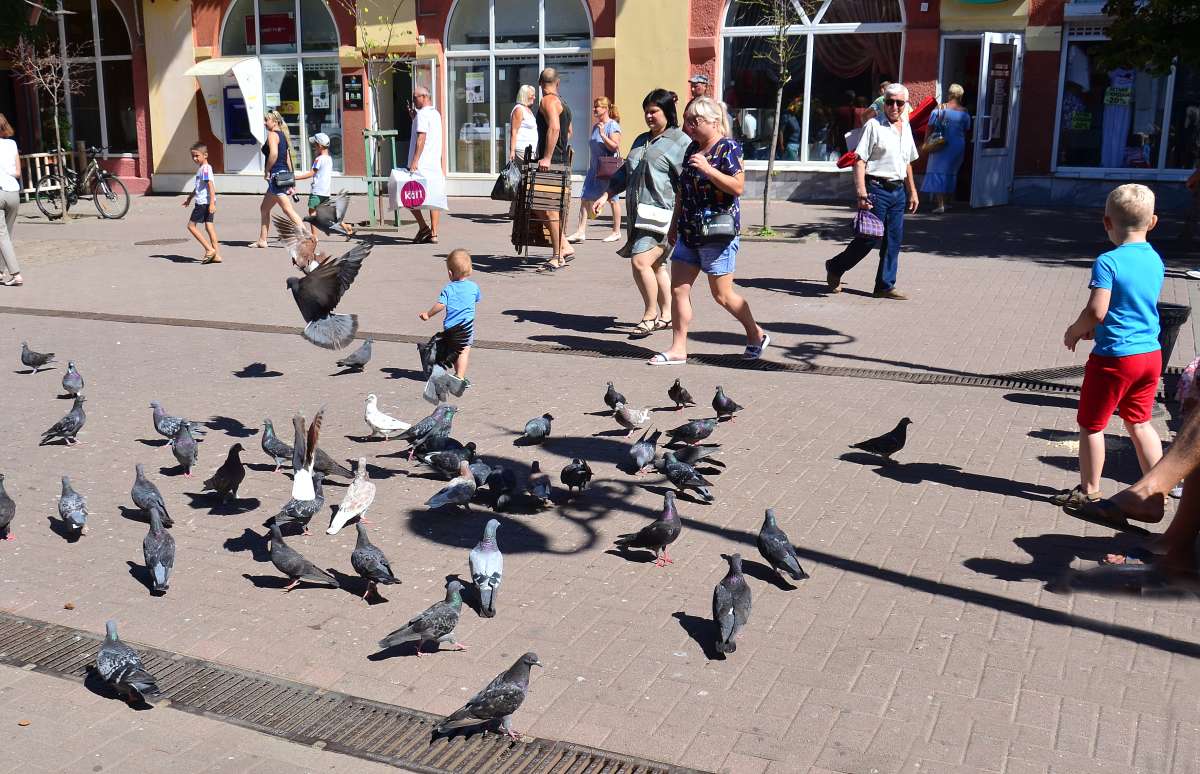 ������ ����� ����  �� PhotoGeek.ru #����� #�������� ��� #��������