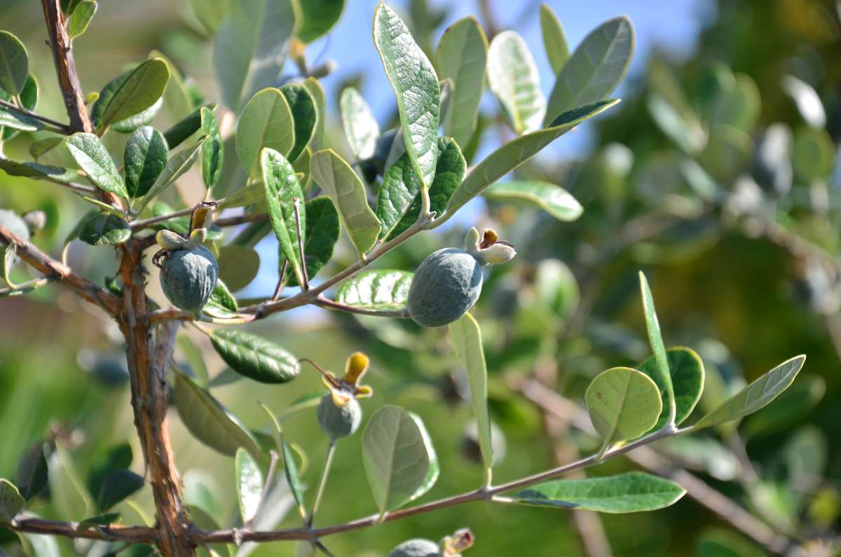 ... ����� ����  �� PhotoGeek.ru #������ ��� ������� #����� �������������� #���������