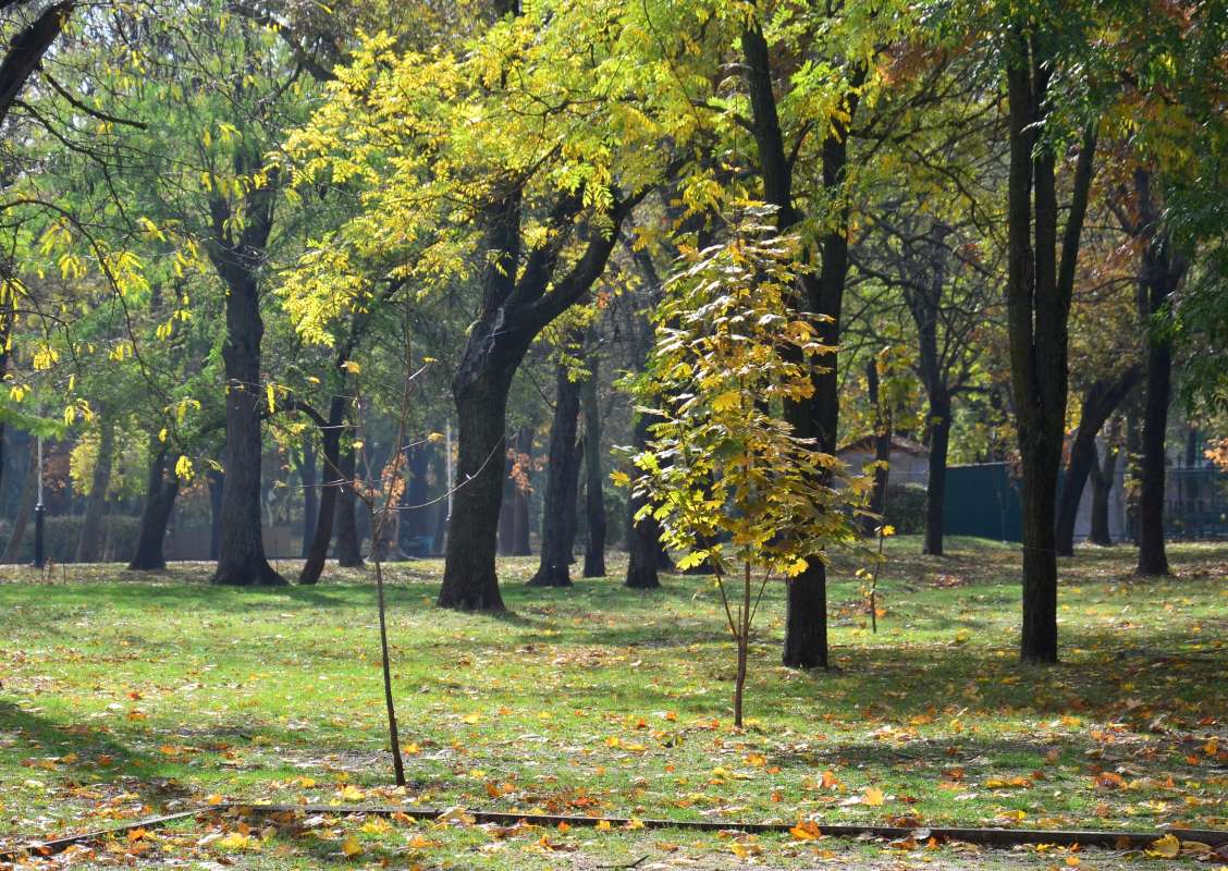 ������� ������ ����� ����  �� PhotoGeek.ru #������ ��� ������� #���������